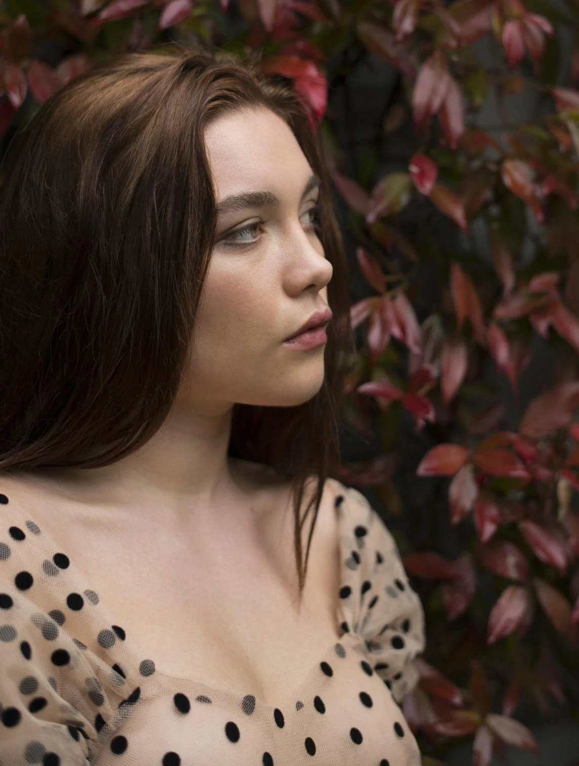 Florence Pugh picture 1 of 2