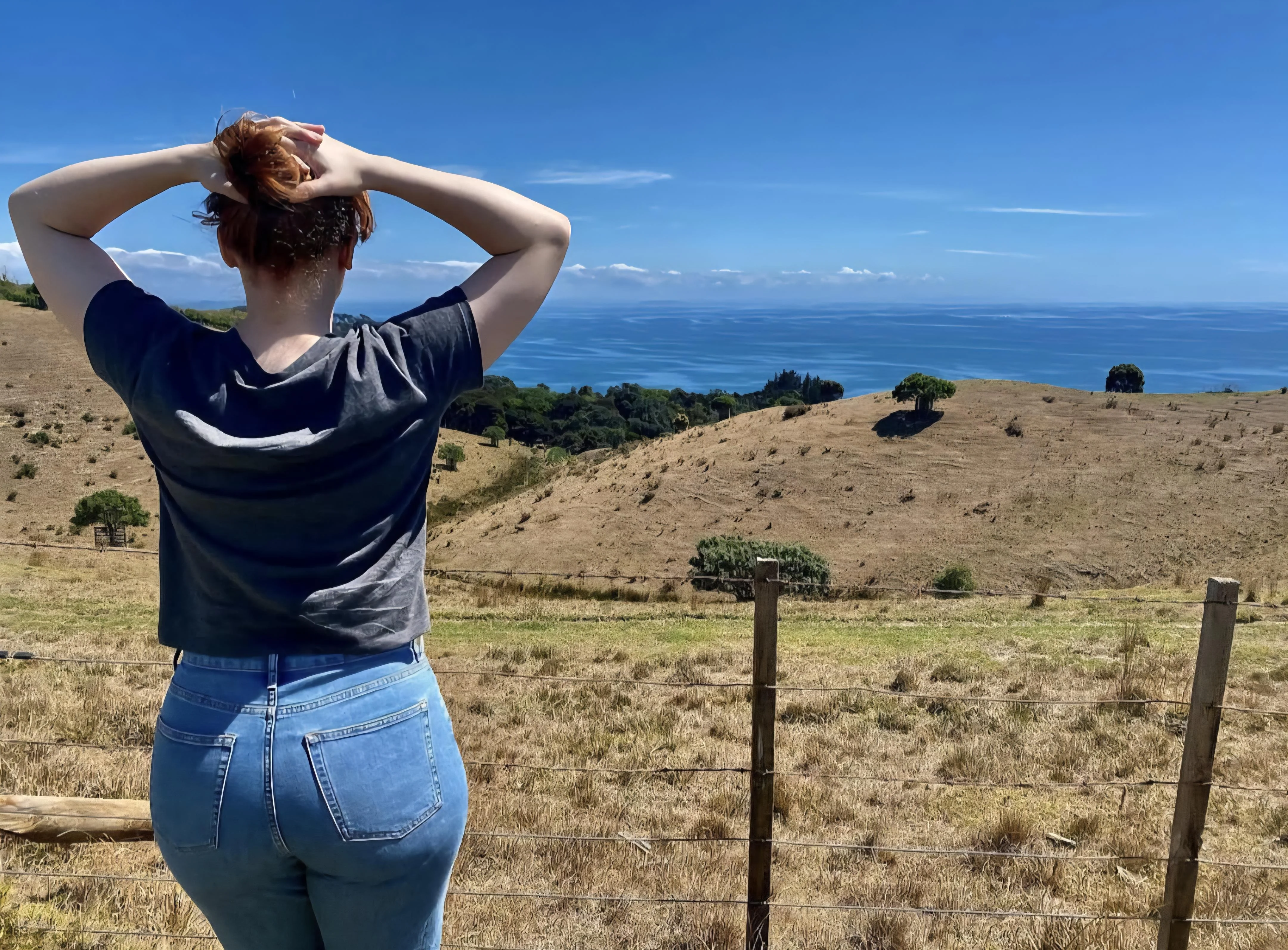Bryce Dallas Howard picture 1 of 1
