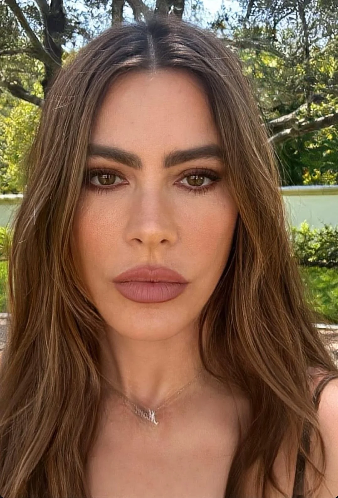 Sofia Vergara picture 1 of 1