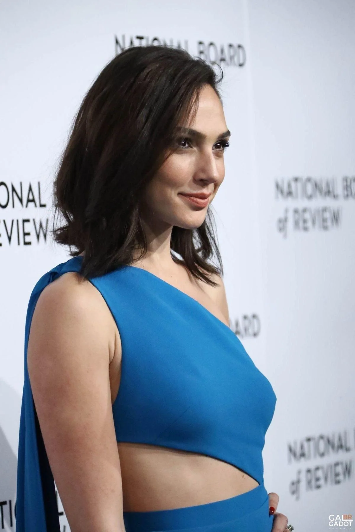 Gal Gadot picture 2 of 3