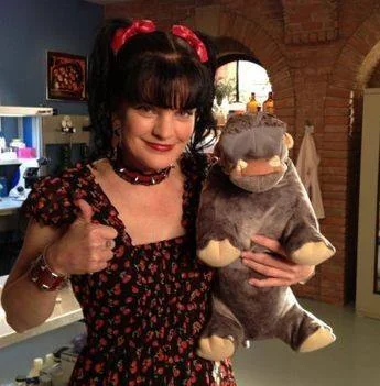Pauley Perrette picture 2 of 4