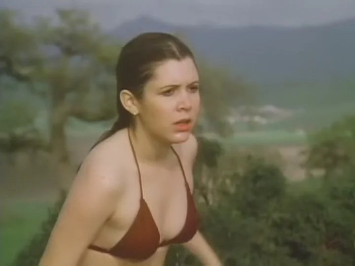 Carrie Fisher picture 1 of 5