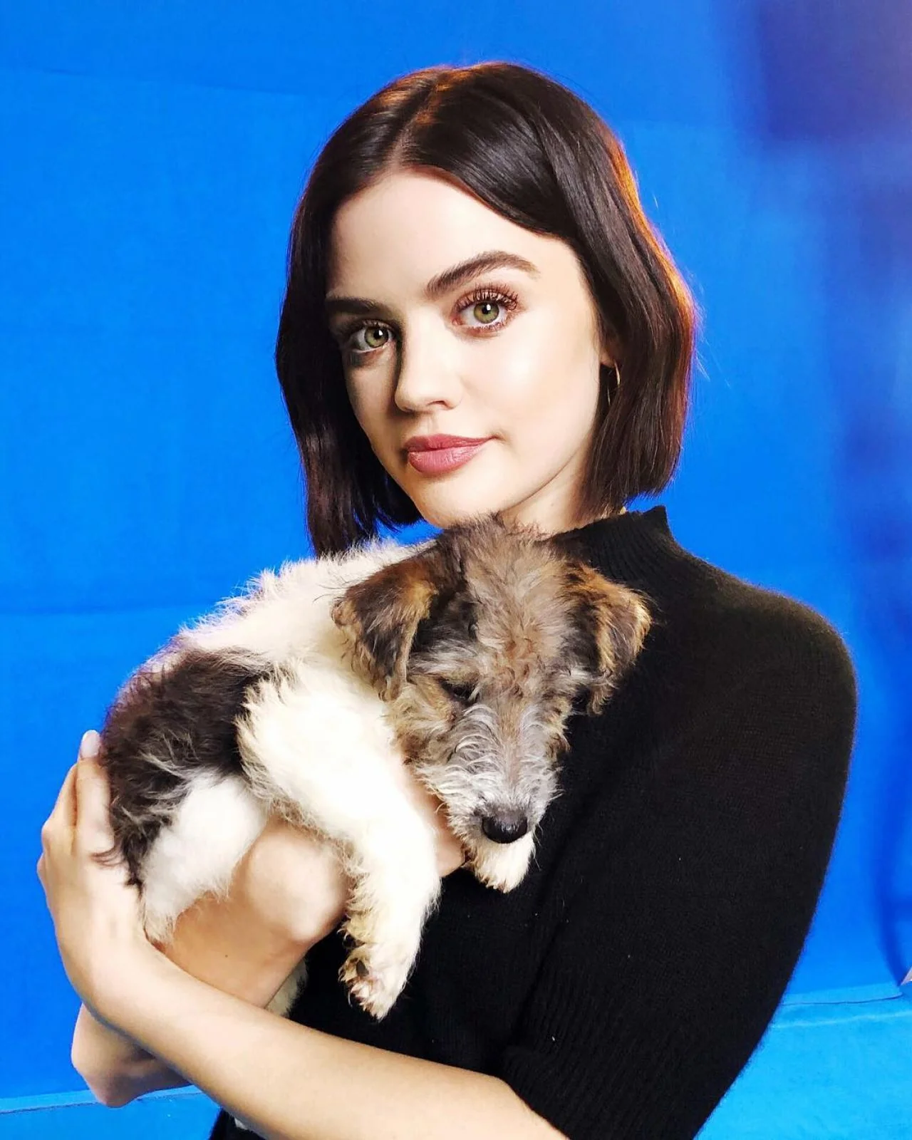 Lucy Hale picture 1 of 4