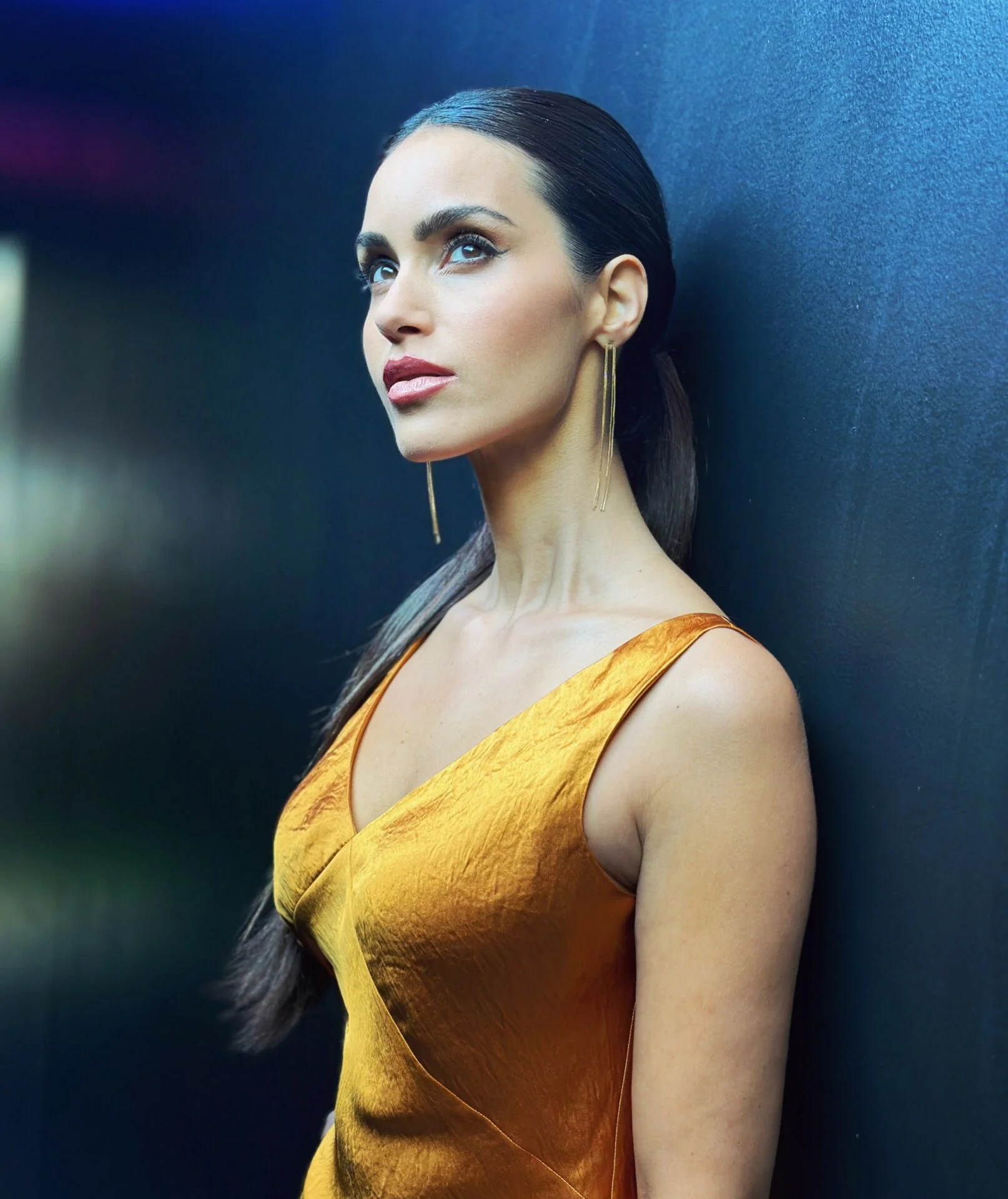 Shiva Negar picture 3 of 4